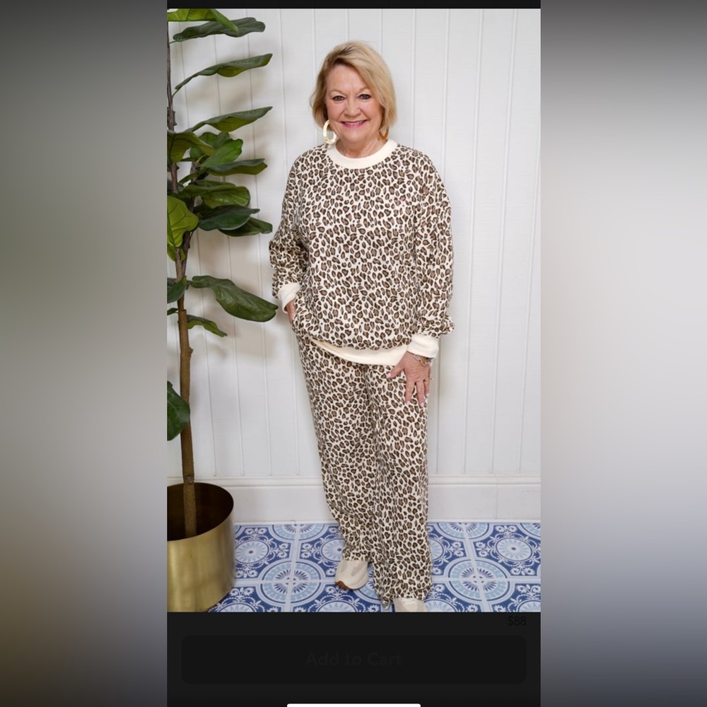 Le Lis Brown and Cream Set with Leopard Print